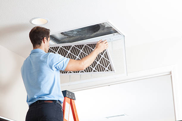Best Air Quality Test  in Brooklyn Park, MN